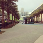 2015-01-10 08.28.43-1