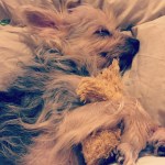 2015-05-09 22.38.32-1