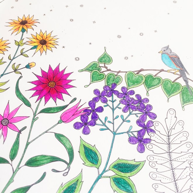 Secret Garden Colouring Book Sarah Hurley