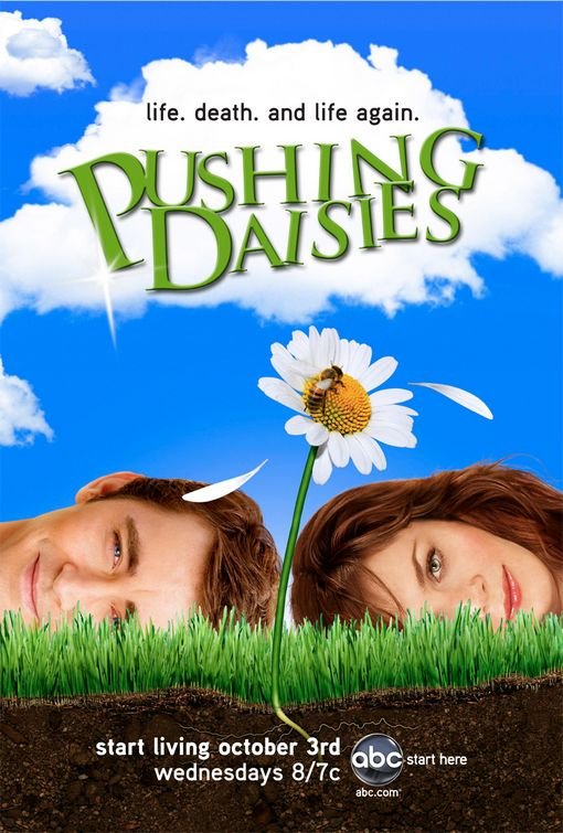 Sarah Hurley Blog Box Sets Pushing Daisies