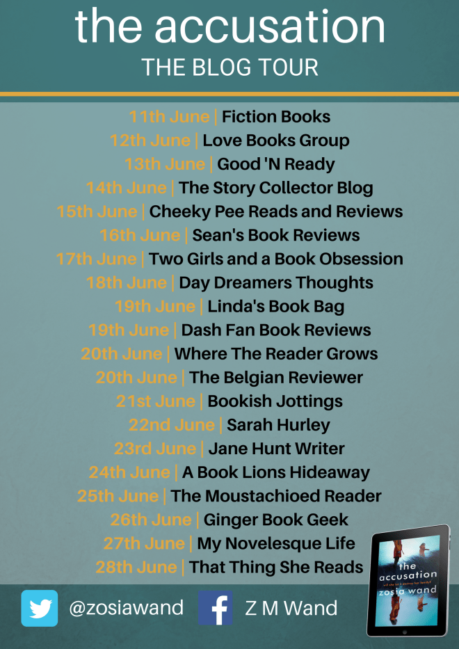 The Accusation blog tour (1).png
