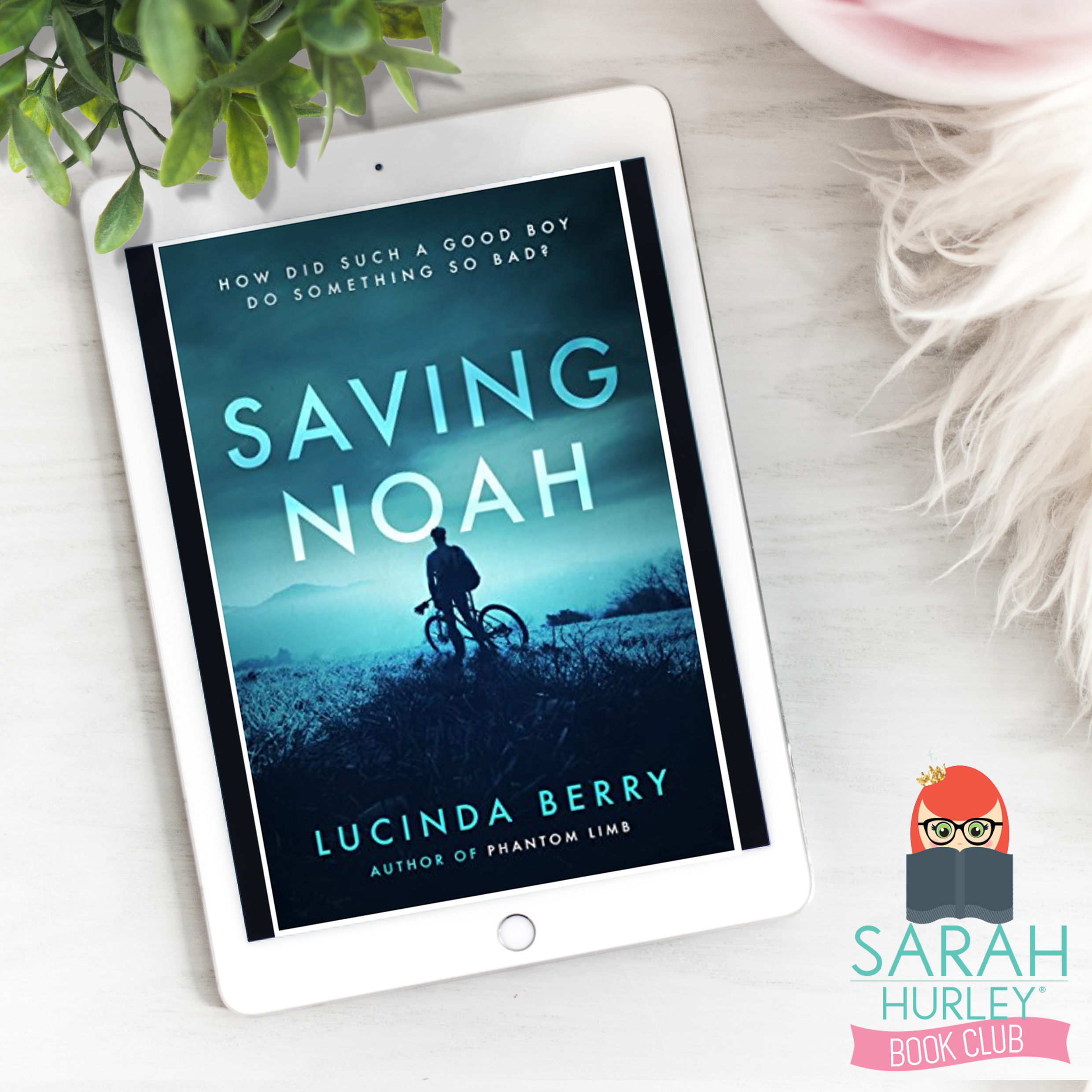 Sarah Hurley Book Club Saving Noah Lucinda Berry.jpg